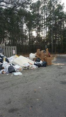 All this trash overflowing into the parking lot. This is a major health hazard!!! Leads to bugs and rodents!!!