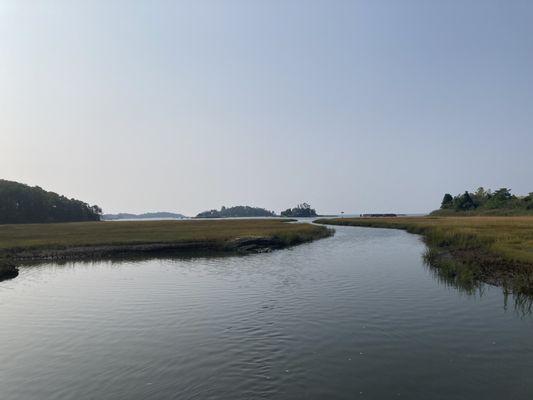 View over the marsh