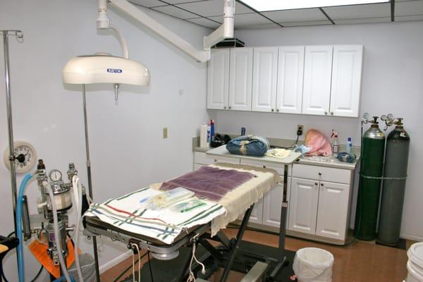 This is where Dr. Malnati performs surgery on your beloved pet to get them as good as new!