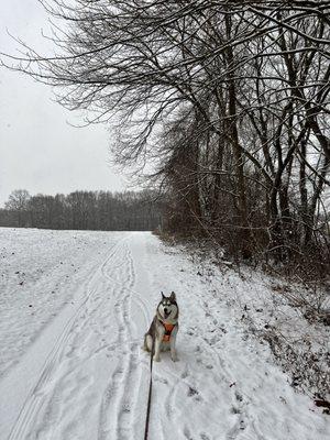 Nikita in the center fields