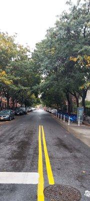 Tree-lined street in a neighborhood of brownstones . So picturesque!