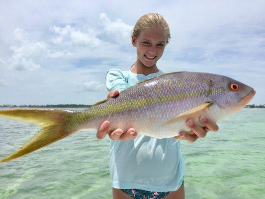 Yellowtail snapper