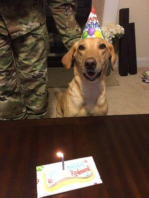 He loved his apple birthday cake!