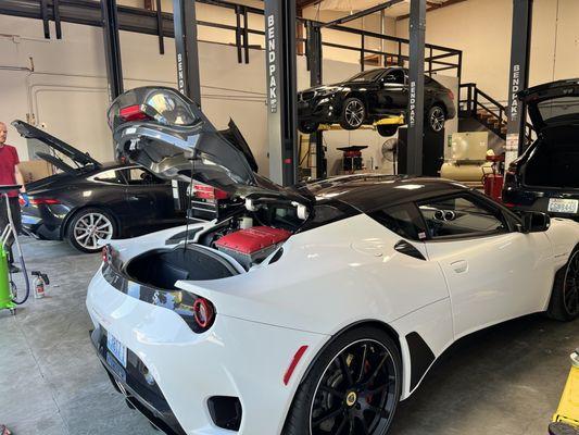 Shop interior with Lotus, Jaguar, BMW, Porsche in for service.