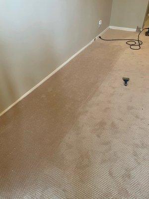 Tried to use this mismatched piece. Laid perpendicularly to main carpet because they did not have enough carpet.