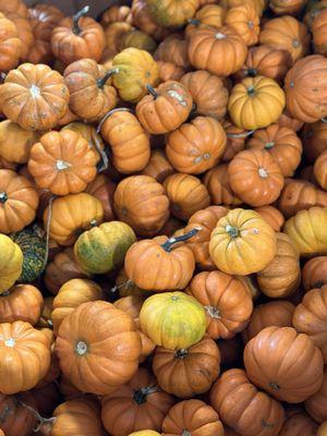 Pumpkins