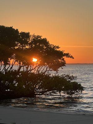 Amazing sunrise yoga! 76 degrees and a nice breeze! I'm lucky to be alive!