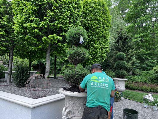 C&G Landscape Services