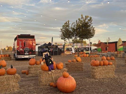 Pierce Pumpkin Patch