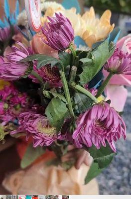 Withered flowers delivered on Mother's Day to my mom!