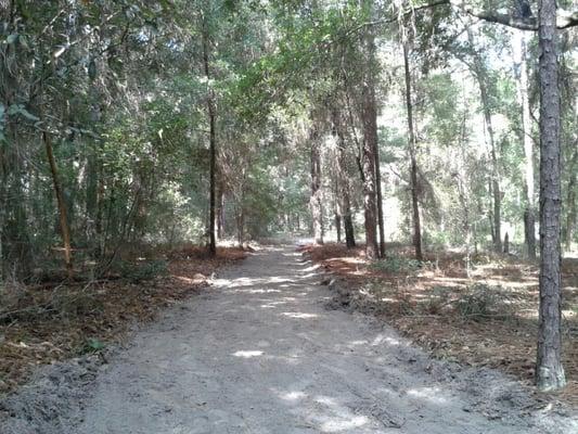 Our well-manicured nature trail for use by our guests.