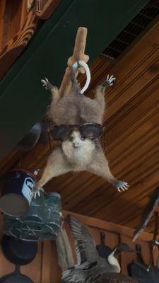 Possum w/ sunglasses decor