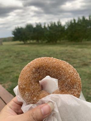 Apple cider donut! $1.50 for one. But didn't taste nice and fresh like other apple orchards I've been to.