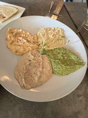 Hummus (4 varieties--red pepper, garlic, basil, and olive)