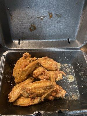 Wicked Wings