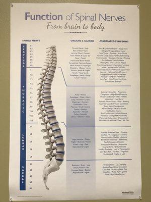 Klein Chiropractic & Massage