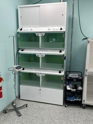 Our intensive care hospital cages are heated, specially lighted and can provide oxygen support for kittys in need.