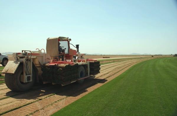 Hauling pallets out of the field with one of our Trebro Quadlifts