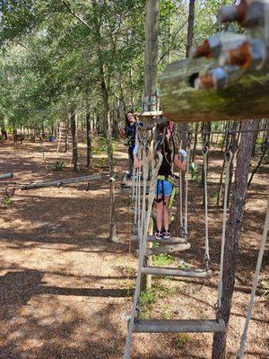 Orlando Tree Trek