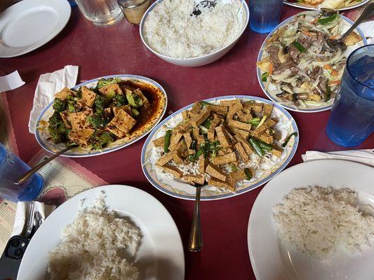 mongolian tofu and spicy garlic tofu (left)