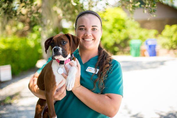 Cedar Bay Veterinary Clinic