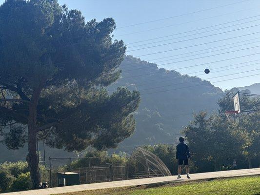 Basketball court