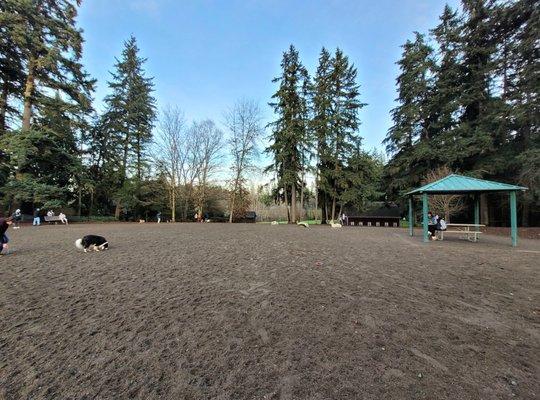 Off-Leash Dog Park