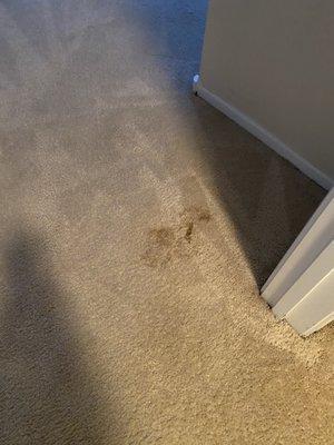 Stain that wasn't there before