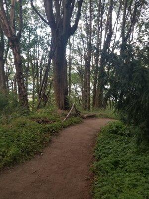 MacLean Park heading down the hill.