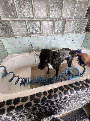 Self-wash tub!