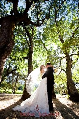 BR Cohn Winery Wedding