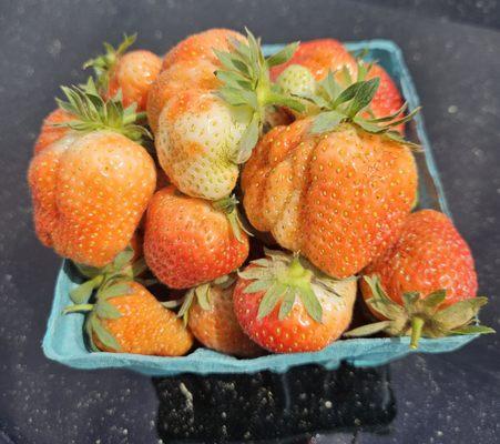 Freshly picked Strawberries!