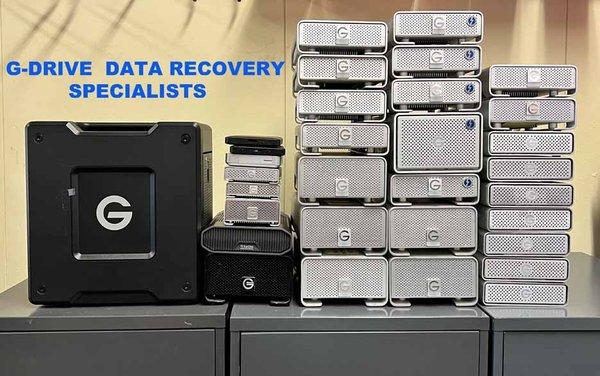 We specialize in G-Drive Data Recovery.