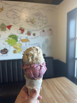 S'mores and black raspberry chip. Both were really good! The cone was also very crispy and fresh!