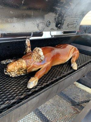 Pig for Christmas party.