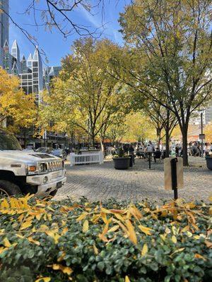 Looking from the patio out to the square.