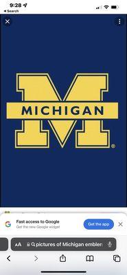 Go blue, Michigan, Michigan