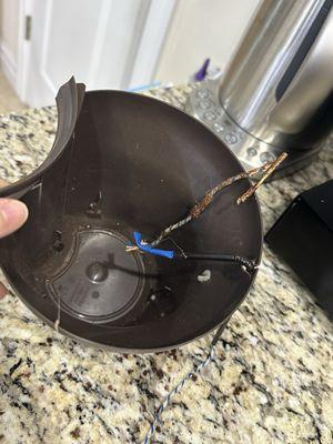 Easyplant's wicking system after I removed it from ceramic pot since I noticed my plant was unable to pull water from reservoir