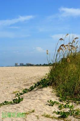 The beach