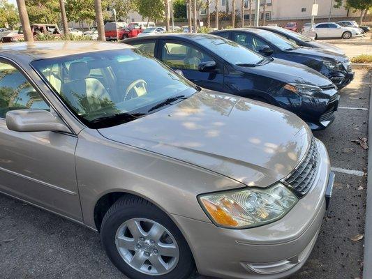 2004 Toyota Avalon