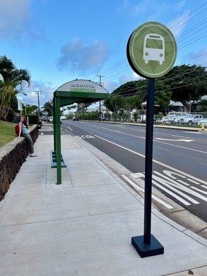 The Kauai Bus