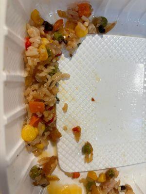 Fried rice with bug