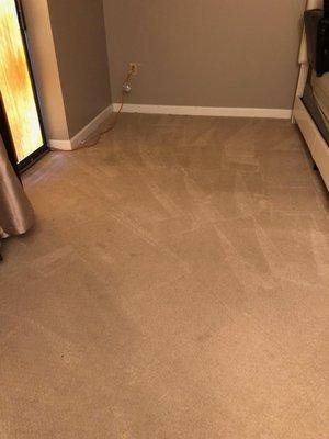 Carpet cleaning after