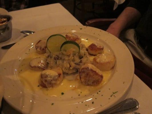 Scallops