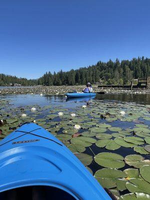 Lake Roesiger Store