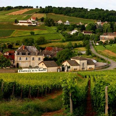 Vineyard while on a trip to France.
 www.lapayne.com/proddetail.asp?prod=FR%5FCHA%5F004&car=246