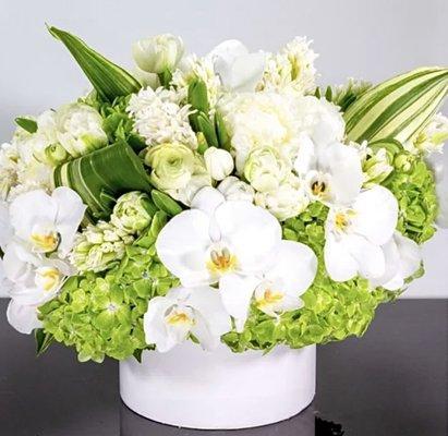 White Green Elegance