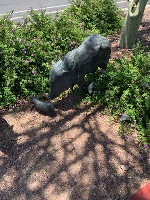 Javelina statue in front of store.