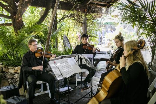 Outlook String Quartet // The Holly Farm, August 2015 // Photo by Marissa Joy Photography