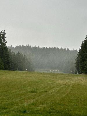 View of targets at 600 yard line.